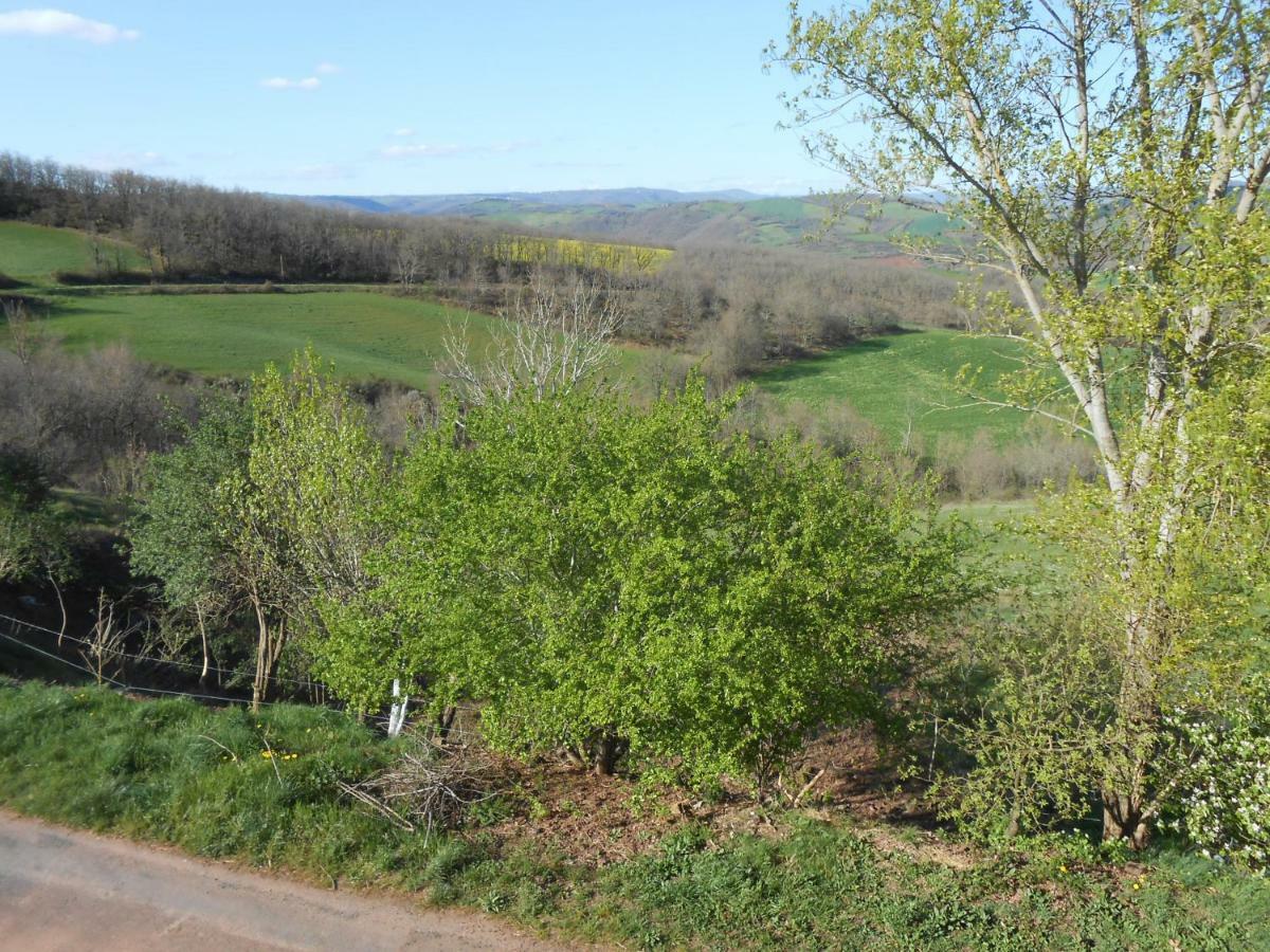 Chambre D'Hotes Des Monts Saint-Izaire Exteriör bild
