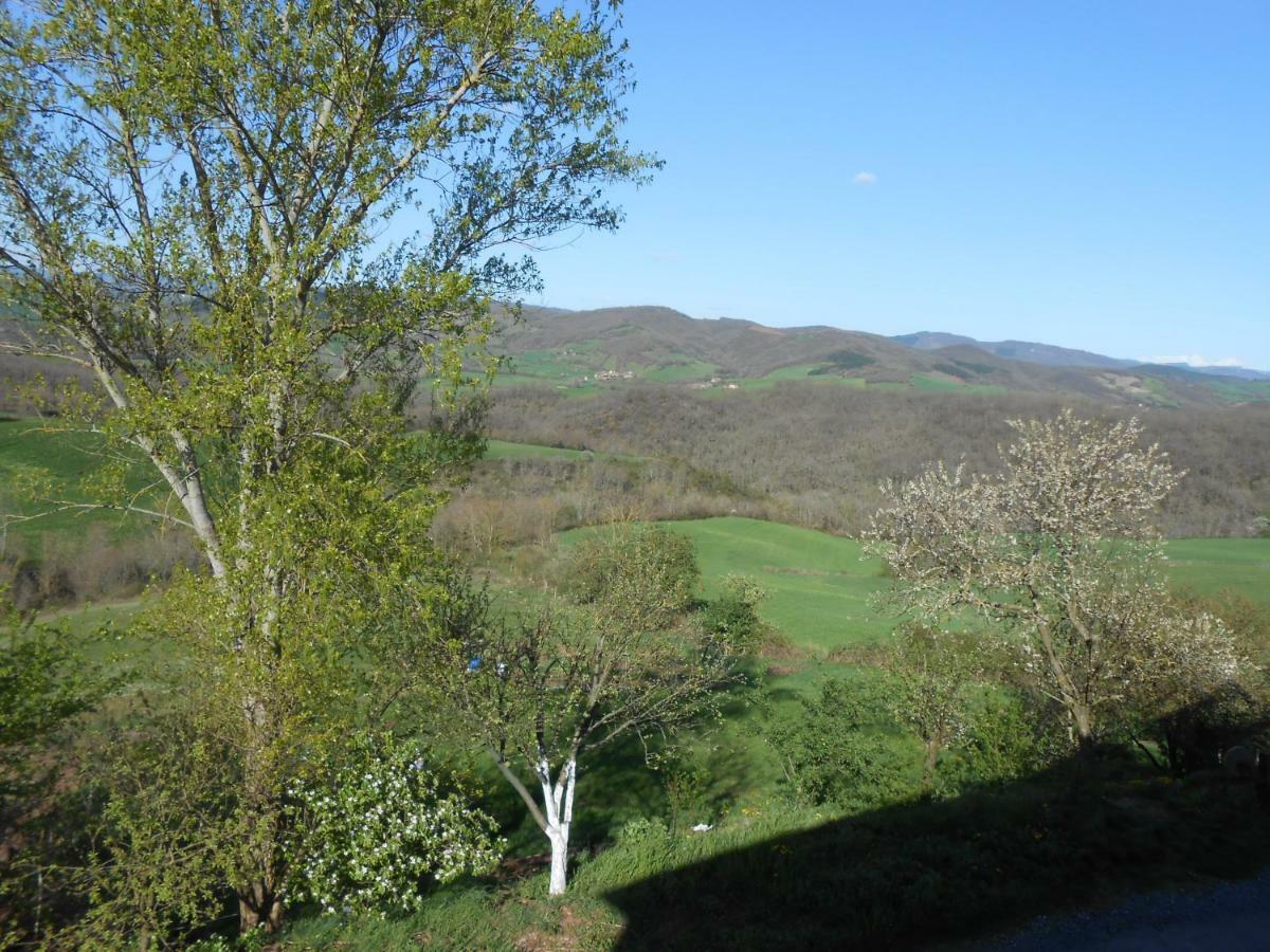 Chambre D'Hotes Des Monts Saint-Izaire Exteriör bild