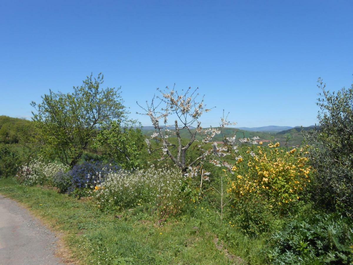Chambre D'Hotes Des Monts Saint-Izaire Exteriör bild